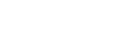 Corvex Logo Wit